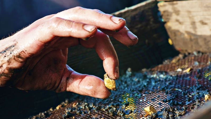 Sifting soil in water through the grate in search of gold concept.