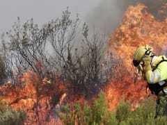 Sigue el combate contra los incendios de Almería que dejaron 12 muertos y siete desaparecidos: hay 6600 hectáreas arrasadas por el fuego