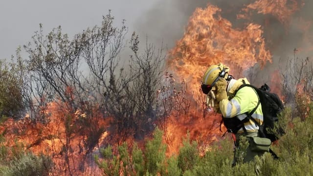 Sigue el combate contra los incendios de Almería que dejaron 12 muertos y siete desaparecidos: hay 6600 hectáreas arrasadas por el fuego