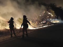 Incendios forestales | Comienza la recuperación en Almería tras el incendio que arrasó 7000 hectáreas: estas son todas las medidas