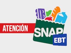 SNAP suspendido: qué sucede con el dinero en las tarjetas EBT y que hacer para NO perderlo