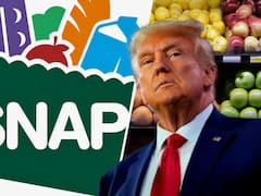 The government confirms SNAP payment dates for September 2026: full schedule by state