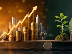 Sofomes: El millonario mercado que crece a doble dígito, pero sin poder demostrar su impacto sostenible