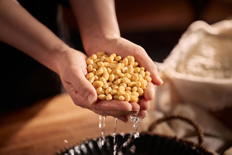 ¿En qué puedes usar la leche de soja casera?