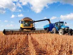 Cosecha récord: el riesgo inesperado que podría trabar el ingreso de dólares