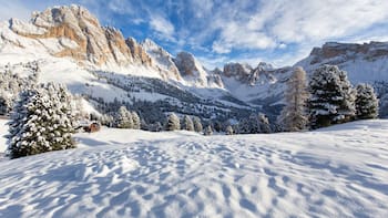 Soñar con nieve: por qué ocurre y qué significa según la psicología