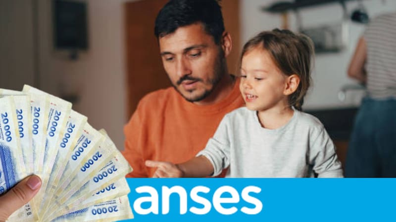 ANSES confirmó una segunda ronda de acreditaciones para completar el aumento de mayo de la Prestación Alimentar. (Foto: Archivo).