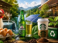 Descarbonización competitiva: Cómo el cuidado del agua y la energía salvan los márgenes de Bachoco, Heineken y Starbucks