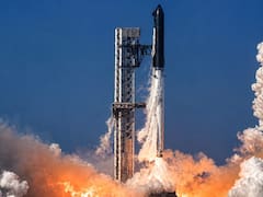 SpaceX se desploma: el mercado le borró a la empresa de Musk más de un PBI argentino en un mes