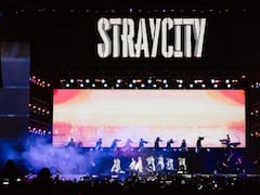 El comunicado de DF Entertainment sobre el festival STRAYCITY