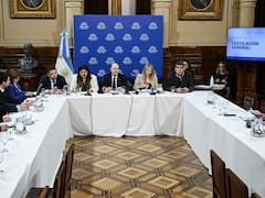 Sturzenegger defendió la Ley de Sociedades y la oposición alertó por una posible “caja negra” jurídica