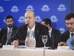 Inviolabilidad de la Propiedad Privada: la disputa por la Ley de Tierras y los límites de los aliados
