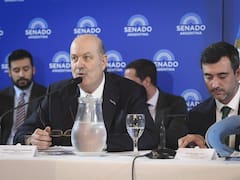 Con un Senado paralizado Sturzenegger presenta la nueva Ley de Sociedades