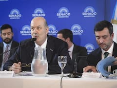 El nuevo frente contra Sturzenegger: malestar en el Congreso y presión de las navieras