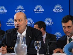 Propiedad Privada: qué elimina y qué mantiene el Senado la última versión del proyecto de Sturzenegger