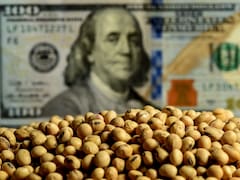 Doble o nada: El plan oficial para que el campo rinda como en Brasil