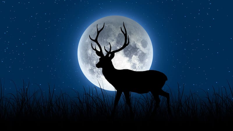 Luna del Ciervo 2026: cuándo será, por qué recibe ese nombre y cuál es su significado espiritual. Fuente: ChatGPT