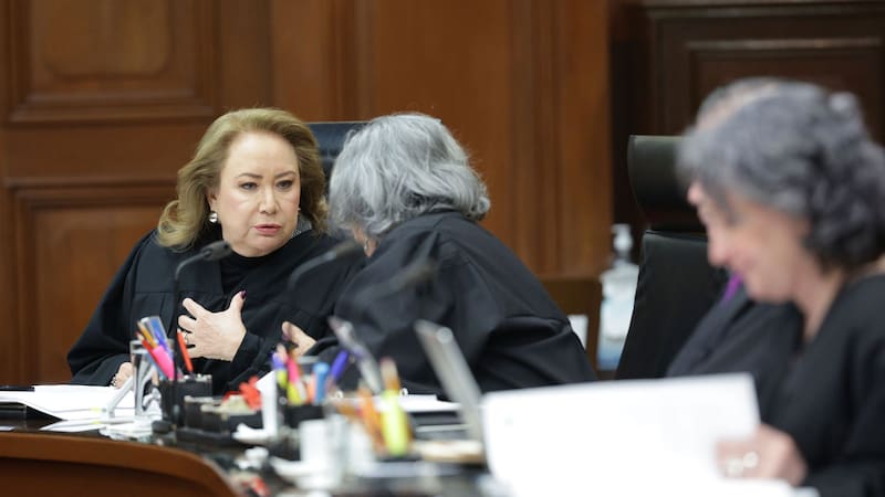 Oficial | La Suprema Corte de Justicia falló y no existe marcha atrás: quedan invalidados los permisos para trasladar y vender ganado al exterior