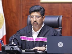 Confirmado | Nuevo fallo de la Suprema Corte protege al medio ambiente y condena la reproducción de mamíferos en cautiverio