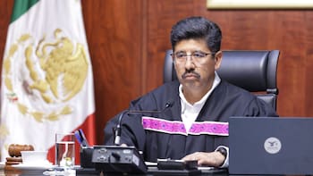 Confirmado | Nuevo fallo de la Suprema Corte protege al medio ambiente y condena la reproducción de mamíferos en cautiverio