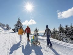 Arranca la temporada de nieve 2026: cuánto cuesta esquiar en los principales centros turísticos de Argentina