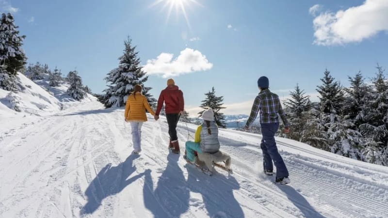 Arranca la temporada de nieve 2026: cuánto cuesta esquiar en los principales centros turísticos de Argentina (Fuente: Turismo Bariloche).