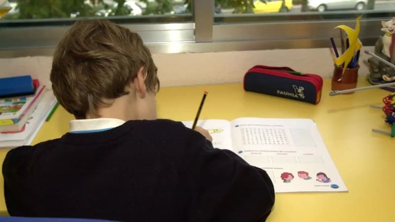 Suspenden las clases el miércoles, jueves y viernes | Todos los alumnos tendrán un fin de semana largo en estas provincias
