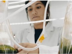 La CEO que convirtió el erizo de mar patagónico en un negocio global y ahora conquista el mercado español