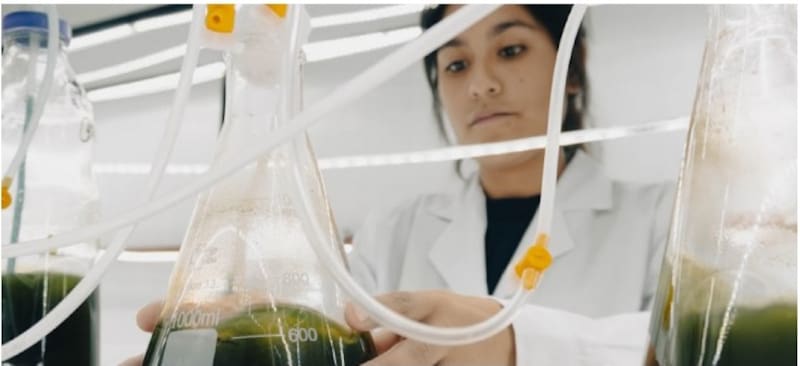 La científica del CONICET Tamara Rubilar convirtió su investigación sobre erizos de mar en Puerto Madryn en un negocio que exporta a Estados Unidos y ahora desembarca en España.