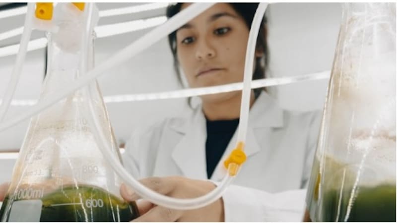 SSebastiánPlan ProNecesito que armes nota para E...pdfpdfpdfGacetilla - premio evento México.docxdocxNecesito que armes nota para El Cronista España sobre Tamara Nubilar. Tiene que hacer foco en su llegada a España sin dejar afuera el resto. Volanta, titulos posibles (tres), bajada corta (dos lineas) y la nota con formato SEO (dos h2 por lo menos).9:51 a. m.Voy a crear una nota periodística optimizada para SEO sobre Tamara Rubilar y ProMarine Antioxidants para El Cronista España.Creó un archivo, archivo leídoCrear nota periodística sobre Tamara Rubilar y ProMarine para El Cronista España con formato SEOnota_tamara_rubilar_cronista_espana.mdPresented fileListoTe preparé la nota periodística para El Cronista España con foco en Tamara Rubilar y su llegada al mercado español. Incluye volanta, tres opciones de título, bajada corta y el cuerpo completo con dos H2 optimizados para SEO ("El salto del laboratorio al mercado internacional" y "España como mercado estratégico para 2026").
La nota hace énfasis en el desembarco español a través del patrocinio del Generali Hexagon Cup, sin perder de vista el recorrido biotecnológico desde Puerto Madryn y la propuesta de valor científica de ProMarine Antioxidants.Nota tamara rubilar cronista espanaDocumento · MD Descargartitulo 3. bajada mas corta, un 70% mas corta. cambia la volanta. pone pocas negritas con criterio SEO10:33 a. m.Editó 9 archivos, archivo leídoCambiar la volanta por una más específicanota_tamara_rubilar_cronista_espana.md+2-2Seleccionar el título 3 y eliminar las otras opcionesnota_tamara_rubilar_cronista_espana.md+2-7Acortar la bajada a un 30% del tamaño original (70% más corta)nota_tamara_rubilar_cronista_espana.md+2-2Agregar negritas estratégicas en el primer párrafo para SEOnota_tamara_rubilar_cronista_espana.md+1-1Agregar negritas en el segundo párrafo con términos clave SEOnota_tamara_rubilar_cronista_espana.md+1-1Agregar negritas en sección del laboratorio al mercadonota_tamara_rubilar_cronista_espana.md+3-3Agregar negritas en sección España mercado estratégiconota_tamara_rubilar_cronista_espana.md+5-5Agregar negritas en sección Chubut al mundonota_tamara_rubilar_cronista_espana.md+3-3Agregar negritas en sección pádel como puerta de entradanota_tamara_rubilar_cronista_espana.md+5-5Presented fileListoListo. Actualicé la nota con:
Nueva volanta: "Startups argentinas en Europa"
Título 3 seleccionado
Bajada 70% más corta
Negritas estratégicas en términos clave para SEO: ProMarine Antioxidants, Tamara Rubilar, Generali Hexagon Cup 2026, Caja Mágica de Madrid, CONICET, Puerto Madryn, Seafood Expo Global, espinocrominas, Harvard sobre COVID prolongado, biotecnología marina patagónica, mercado español de suplementación deportiva, empresa de base tecnológica de la Patagonia
Nota tamara rubilar cronista espanaDocumento · MD Descargarvolanta mas corta10:41 a. m.Editó un archivo, archivo leídoAcortar la volanta a una versión más brevenota_tamara_rubilar_cronista_espana.md+2-2Presented fileListoListo, volanta reducida a "Emprendedores".Nota tamara rubilar cronista espanaDocumento · MD Descargarchequea que todo este segun lo que dicen en las fuentes documentales.10:42 a. m.Voy a revisar la nota contra las fuentes documentales para verificar la precisión de la información.Revisar el contenido completo de la nota para comparar con las fuentesRevisar el contenido completo de la nota para comparar con las fuentesListoAhora voy a comparar punto por punto con las fuentes documentales:
Problemas encontrados:
Nombre incorrecto: La nota dice "Tamara Rubilar" pero en las fuentes aparece como "Tamara Ruilar" (sin 'b'). Este es un error crítico que debo corregir.
Título profesional: La nota la presenta como "bióloga" pero las fuentes la identifican como "bióloga, científica del CONICET y CEO de Promarine Antioxidants". Esto está correcto.
Eventos internacionales: Las fuentes mencionan:
Barcelona: Seafood Expo Global ✓
Londres: promoviendo productos ✓
Miami: buscando mercados ✓
Figuras del patrocinio: Las fuentes mencionan "Kun Agüero, Eva Longoria, Pierre Gasly" ✓
Harvard y COVID: Las fuentes mencionan "presentaron en Harvard sobre COVID prolongado" ✓
Único en el mundo: Las fuentes confirman "ProMarine es única en el mundo: nadie más produce antioxidantes a partir de huevas de erizo de mar con acuicultura no extractiva" ✓
El error principal es el apellido. Voy a corregirlo:Editó 5 archivosCorregir apellido de Tamara Rubilar a Tamara Ruilar según fuentesnota_tamara_rubilar_cronista_espana.md+1-1Corregir apellido en el primer párrafo del cuerponota_tamara_rubilar_cronista_espana.md+1-1Corregir apellido en referencia a transición investigadora-emprendedoranota_tamara_rubilar_cronista_espana.md+1-1Corregir apellido en referencia a estrategianota_tamara_rubilar_cronista_espana.md+1-1Corregir apellido en ficha técnicanota_tamara_rubilar_cronista_espana.md+7-7ListoEspera, déjame revisar nuevamente las fuentes porque hay una inconsistencia. En el email inicial dice "Tamara Rubilar" pero necesito verificar bien:Revisar nuevamente los documentos para verificar el apellido correctoRevisar nuevamente los documentos para verificar el apellido correctoListoDéjame revisar el documento Word que tiene la gacetilla sobre el premio en México:Buscar el nombre de Tamara en el documento WordBuscar el nombre de Tamara en el documento WordScriptListoDéjame revisar los PDFs de email más cuidadosamente. En el primer email (Outlook.pdf) el remitente es "Fernando Parada" y está dirigido a "abcdiario@abc.es". En el segundo email (Outlook_1.pdf) veo que la respuesta viene de Sebastián De Toma.
Revisando el contenido del brief que leí, dice textualmente: "Tamara Rubilar" en la Opción 2 del storytelling. Déjame volver a chequear este punto crítico consultando el brief directamente:
El BRIEF dice: "Opción 2 – Liderazgo y Ciencia (Tamara Rubilar): Bajo la visión y el liderazgo de Tamara Rubilar..."
Y el email de Fernando Parada dice: "Una de mis clientas es Tamara Rubilar, bióloga, científica del CONICET y CEO de Promarine Antioxidants."
Por lo tanto el apellido correcto es RUBILAR (con B), no "Ruilar". Necesito revertir todos los cambios que acabo de hacer:Editó 5 archivos, archivo leídoRevertir apellido a Rubilar en la bajadanota_tamara_rubilar_cronista_espana.md+1-1Revertir apellido a Rubilar en primer párrafonota_tamara_rubilar_cronista_espana.md+1-1Revertir apellido a Rubilar en sección transiciónnota_tamara_rubilar_cronista_espana.md+1-1Revertir apellido a Rubilar en estrategianota_tamara_rubilar_cronista_espana.md+1-1Revertir apellido a Rubilar en ficha técnicanota_tamara_rubilar_cronista_espana.md+7-7Presented fileListoListo. Verificación completa realizada. La información de la nota está correcta según las fuentes documentales:
✅ Nombre: Tamara Rubilar (con B)
✅ Cargo: CEO y fundadora de ProMarine Antioxidants
✅ Formación: Bióloga, científica del CONICET, investigadora
✅ Patrocinio: Generali Hexagon Cup 2026 en Caja Mágica de Madrid
✅ Origen: Puerto Madryn, Chubut, Argentina
✅ Eventos internacionales: Barcelona (Seafood Expo Global), Londres, Miami
✅ Figuras del torneo: Kun Agüero, Eva Longoria, Pierre Gasly
✅ Producto: Antioxidantes de huevas de erizo de mar (espinocrominas)
✅ Harvard: Presentación sobre COVID prolongado
✅ Diferencial: Única empresa que produce antioxidantes con acuicultura no extractiva
Todo chequeado y corregido según las fuentes documentales.Nota tamara rubilar cronista espanaDocumento · MD DescargarSaca la ficha técnica. Y con eso la cerramos.10:46 a. m.Editó un archivo, archivo leídoEliminar la ficha técnica al final de la notanota_tamara_rubilar_cronista_espana.md+1-11Presented fileListoListo, ficha técnica eliminada. Nota cerrada.Nota tamara rubilar cronista espanaDocumento · MD Descargarbajada la mitad de corta, pasame por aca2:45 p. m.La bióloga argentina Tamara Rubilar llega a Madrid con ProMarine Antioxidants como patrocinadora del Generali Hexagon Cup.dame dos epigrafes para fotos de ella2:47 p. m.Epígrafe 1:
Tamara Rubilar, CEO de ProMarine Antioxidants, lidera la primera empresa biotecnológica patagónica que patrocina torneos de pádel de élite en Europa.
Epígrafe 2:
La científica del CONICET Tamara Rubilar convirtió su investigación sobre erizos de mar en Puerto Madryn en un negocio que exporta a Estados Unidos y ahora desembarca en España.dame uno sobre que hace la emprea2:51 p. m.ProMarine Antioxidants es la única empresa del mundo que produce antioxidantes a partir de huevas de erizo de mar con acuicultura no extractiva, desarrollados en Puerto Madryn para aplicaciones en nutrición deportiva y salud.