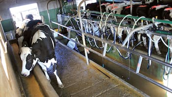 Conflicto sindical termina con cierre del centro de distribución de Conaprole en Rivera