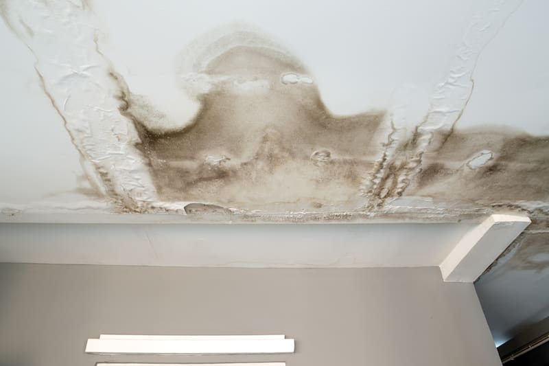 Las goteras y los problemas de humedad afectan a la habitabilidad del inmueble y deben ser reparados por el arrendador.