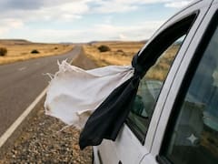 Colgar una tela blanca o una tela negra en la ventana del auto: qué diferencia tiene y cuál recomiendan tener
