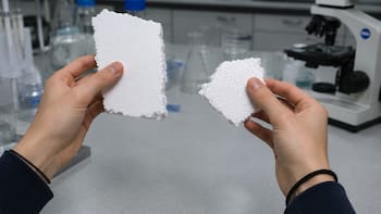 Tiene 13 años y creó una máquina que revoluciona el futuro: usa bacterias que transforman telgopor en bioplástico y energía