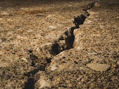 Colombia vuelve a sentir un temblor de magnitud 5,1 dos semanas después del gran terremoto: estas son las localidades afectadas