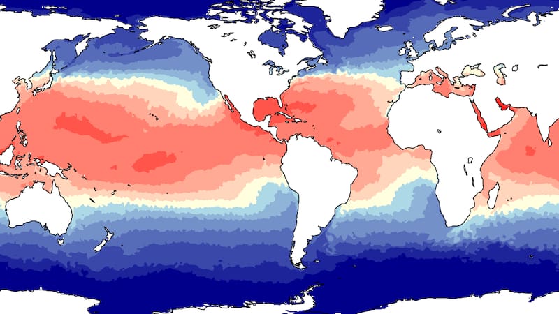 Temperatura de la superficie del mar.