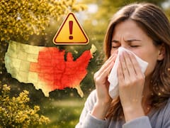 Alerta sanitaria en EE.UU.: alertan que la temporada de polen 2026 será la peor de todas y estos estados ya tienen alerta roja