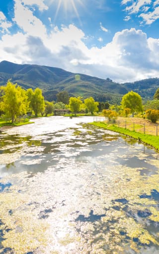 A sólo 50 kilómetros de Capital: el paraíso de aguas termales con más de 12 minerales, ideal para aliviar la artrosis y la mejorar la circulación