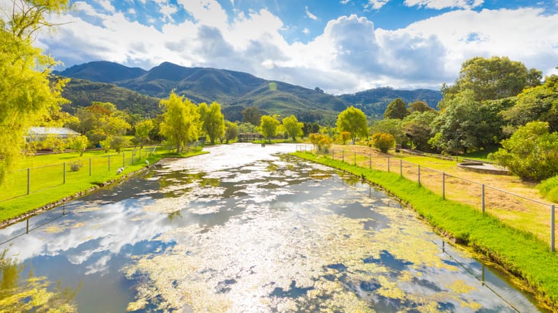 A unos 45 minutos de Bogotá, este balneario de Tabio ofrece aguas termales naturales con más de 12 minerales, piscinas, jacuzzi y espacios para descansar rodeados de naturaleza.