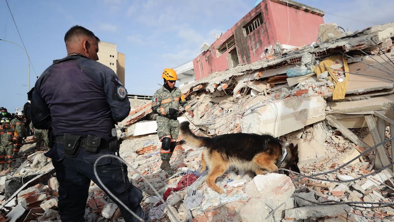 Un rescatista del Ejercito de México junto a su perro trabajan en un edificio afectado por un terremoto este viernes, en La Guaira.