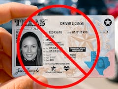 Es un hecho | Prohibirán masivamente la licencia de conducir a todos los extranjeros que no puedan demostrar que son ciudadanos legales