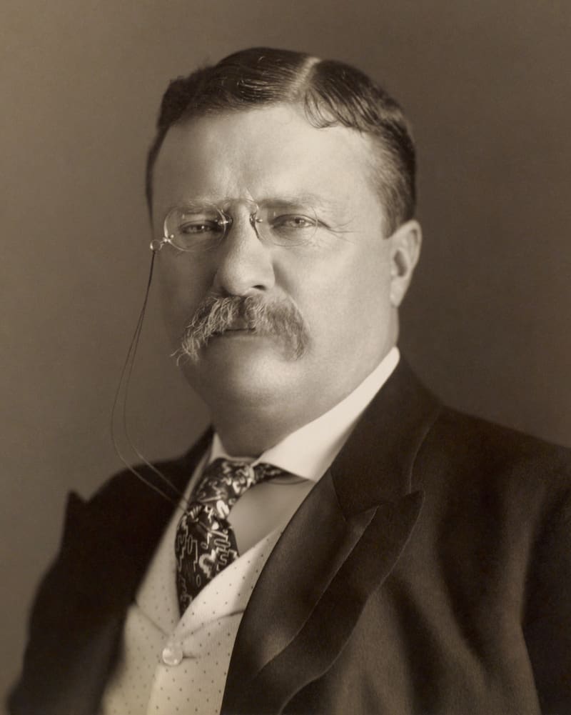 Theodore Roosevelt, expresidente de los Estados Unidos.