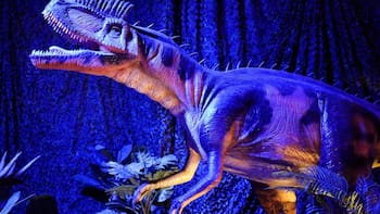 Descubrimiento | Hallan en México huellas de dinosaurios de hace 65 millones de años