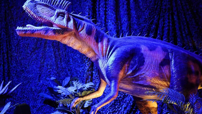Las pisadas corresponden a dinosaurios carnívoros y herbívoros, de diferentes tamaños.