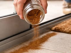 Espolvorear canela en la puerta de la casa: para qué sirve y por qué lo recomiendan