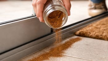 Espolvorear canela en la puerta de la casa: para qué sirve y por qué lo recomiendan