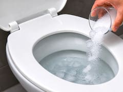 Tirar cubos de hielo y sal al inodoro: para qué sirve y por qué lo recomiendan