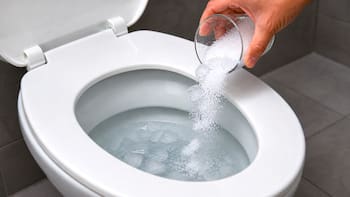 Tirar cubos de hielo y sal al inodoro: para qué sirve y por qué lo recomiendan