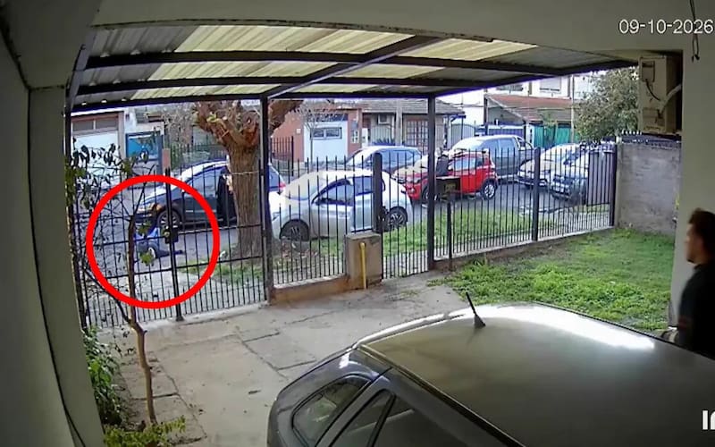 "El hombre intentó correrlos, pero se cayó”, describieron los testigos.