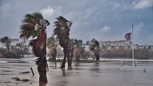 Alerta AEMET | Una borrasca histórica traerá nieve y lluvias intensas: estas son las comunidades en riesgo